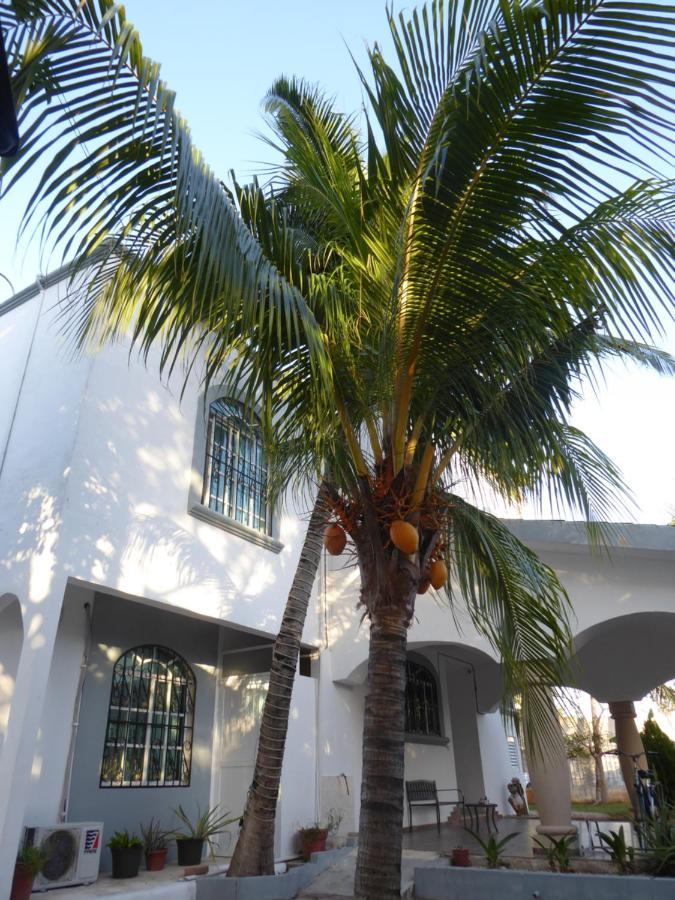 Claro De Luna Playa del Carmen Dış mekan fotoğraf