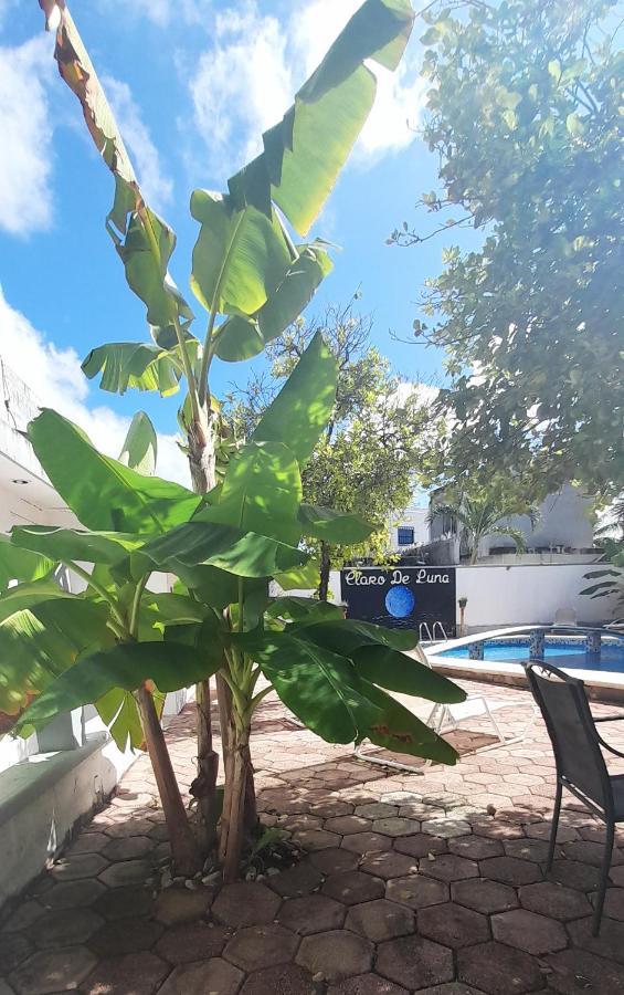 Claro De Luna Playa del Carmen Dış mekan fotoğraf